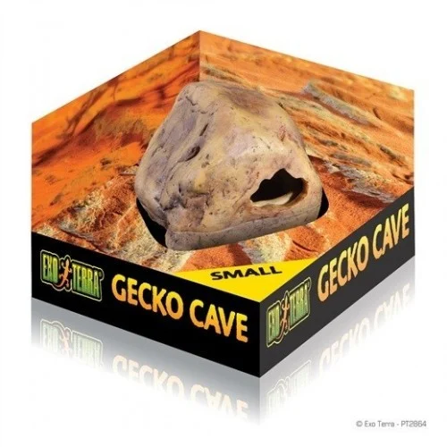 Pequena caverna de lagartixas Exo-Terra