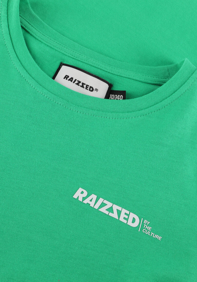 RAIZZED groene raizzed t-shirt sparks