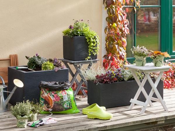 Dehner Kunststoff-Blumenkasten Palermo, ca.