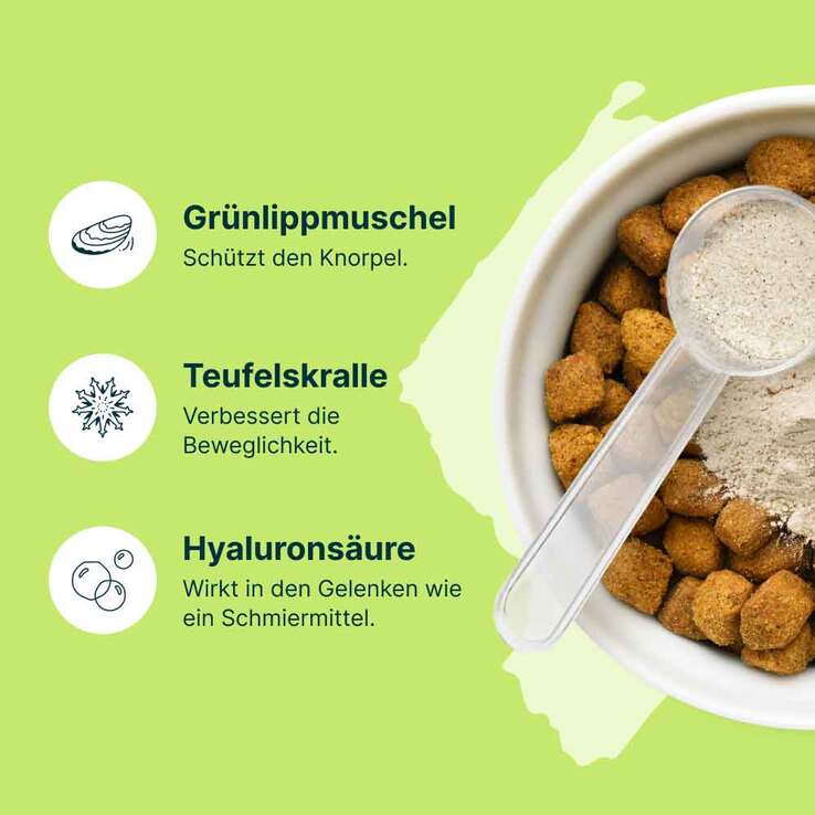 Mobeel Ergänzungsfuttermittel Pulver für Hunde / Katzen, 150 g