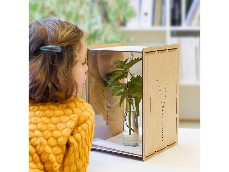 Mein Raupenkasten Insektenhotel Raupenkasten Aufzucht-Box