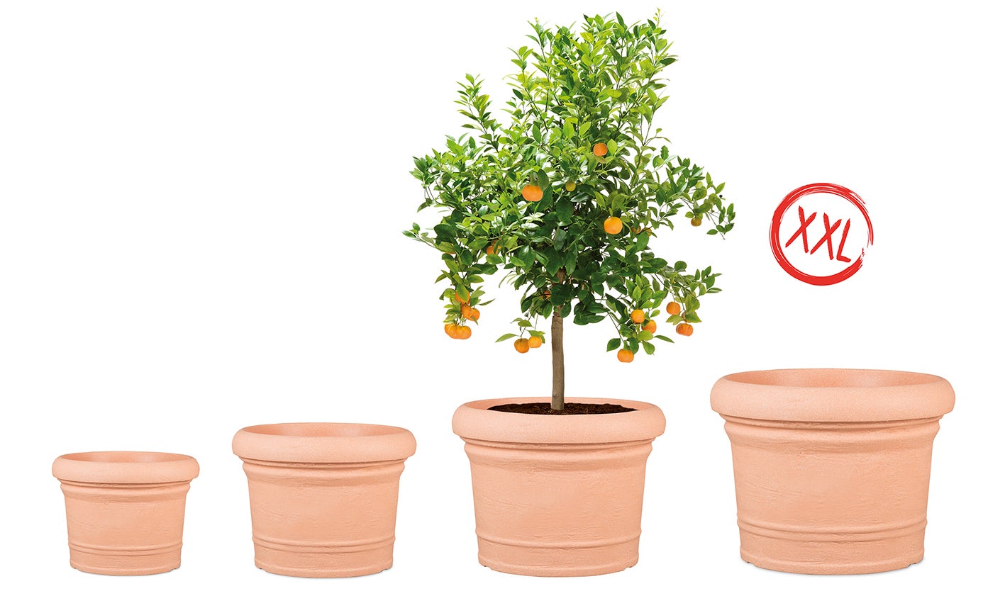 Scheurich Formia 80, plantenbak/bloempot, rond, van kunststof, kleur: terracotta, diameter 80 cm, hoogte 59,2 cm, inhoud 179 l.