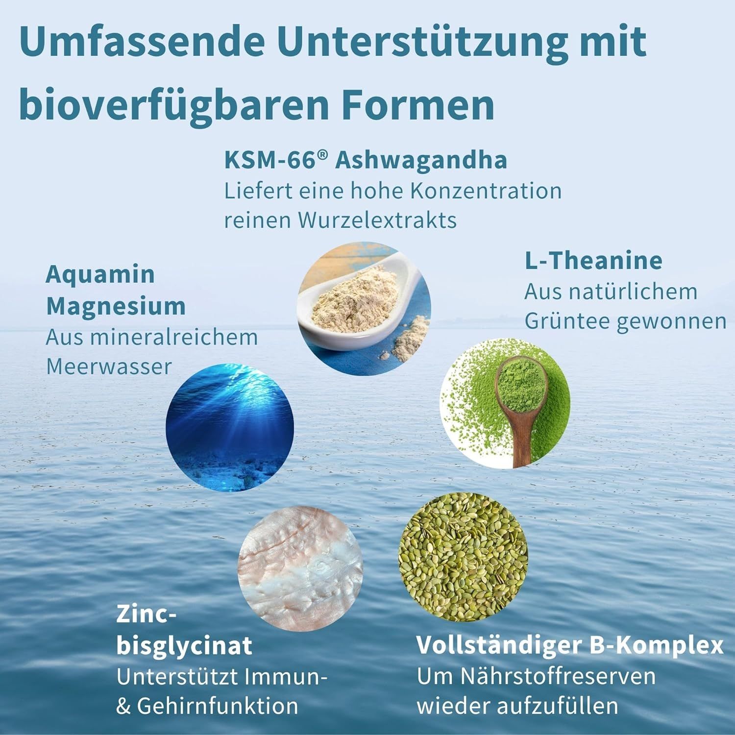 Igennus Ashwagandha KSM-66 Wurzelextrakt mit L-Theanin & Magnesium