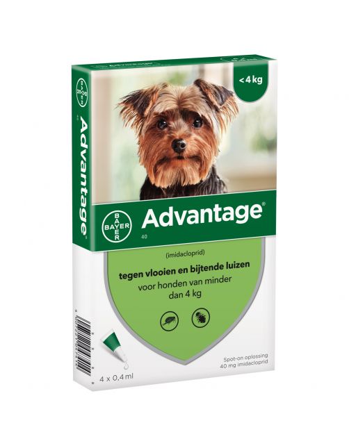 Advantage Hond 4 pip - Anti vlooien en luizenmiddel