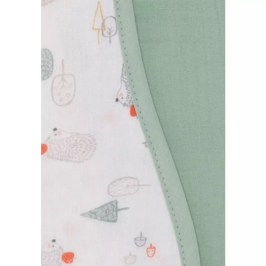 Sterntaler Spucktuch Doppelpack Igel grün