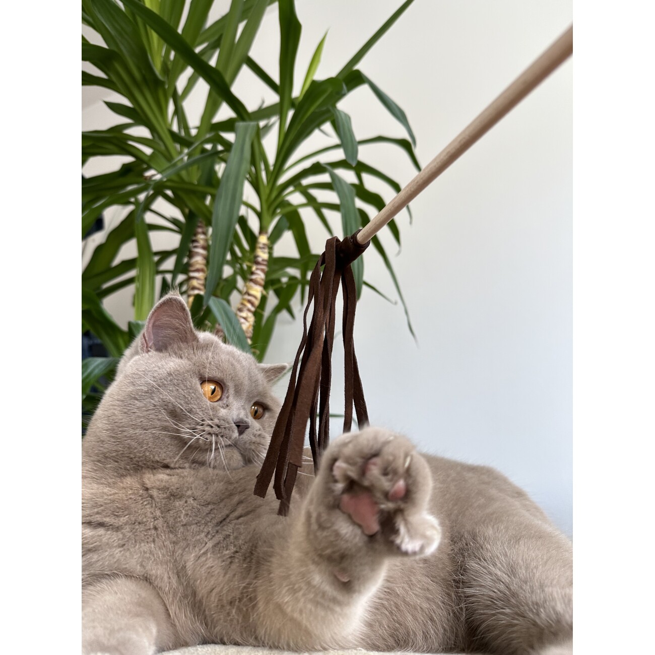 Kater Kasimir Federwedel und Lederwedel. Mit echten Naturfedern und echtem Rindsleder