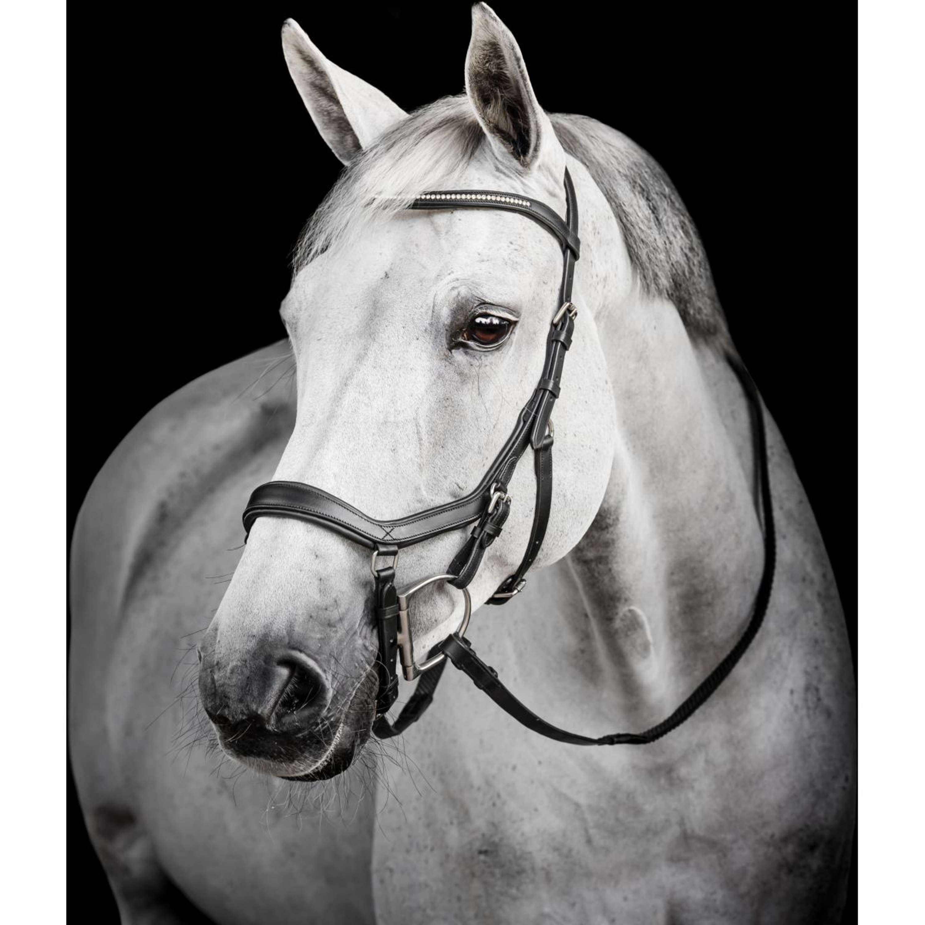 Horseware Micklem Diamante Competition Bridle Zwart