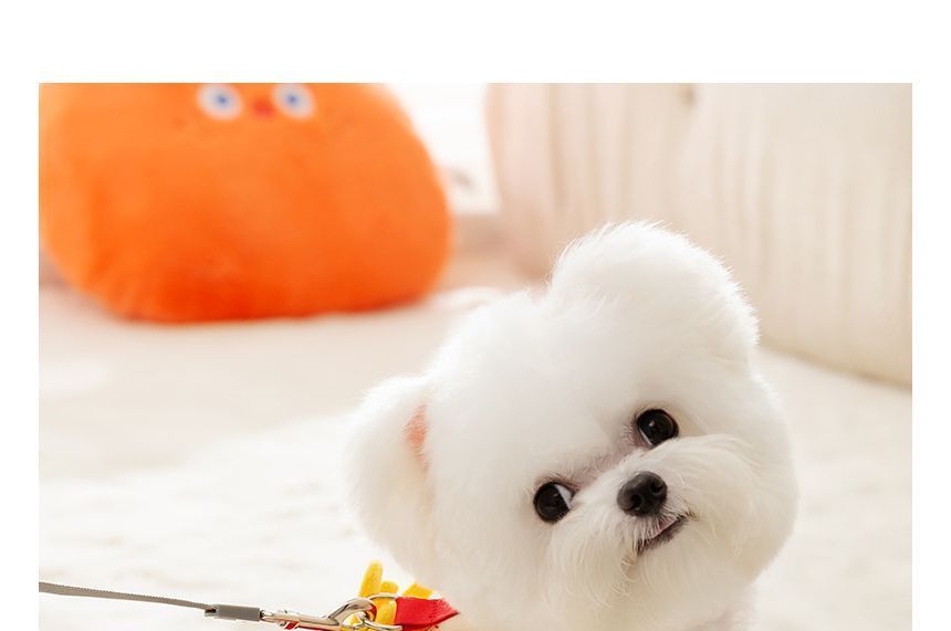 Cissilli - Fries Pet Top