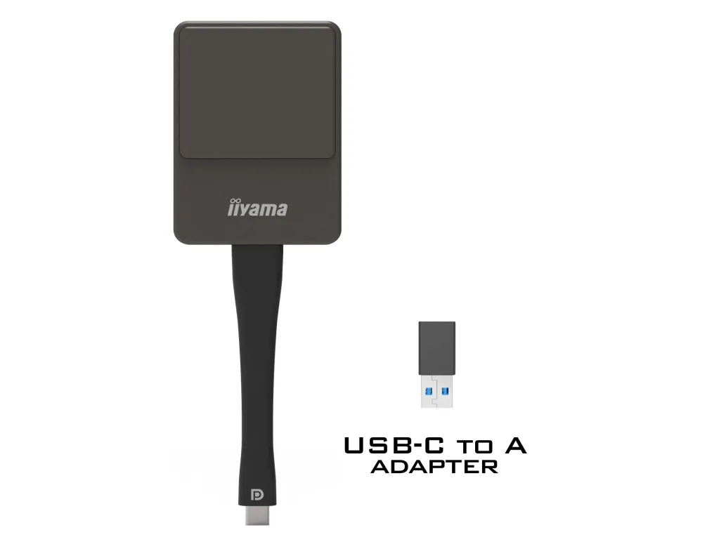 iiyama WP D002C - Streamingadapter til netværksmedie - sølv/sort