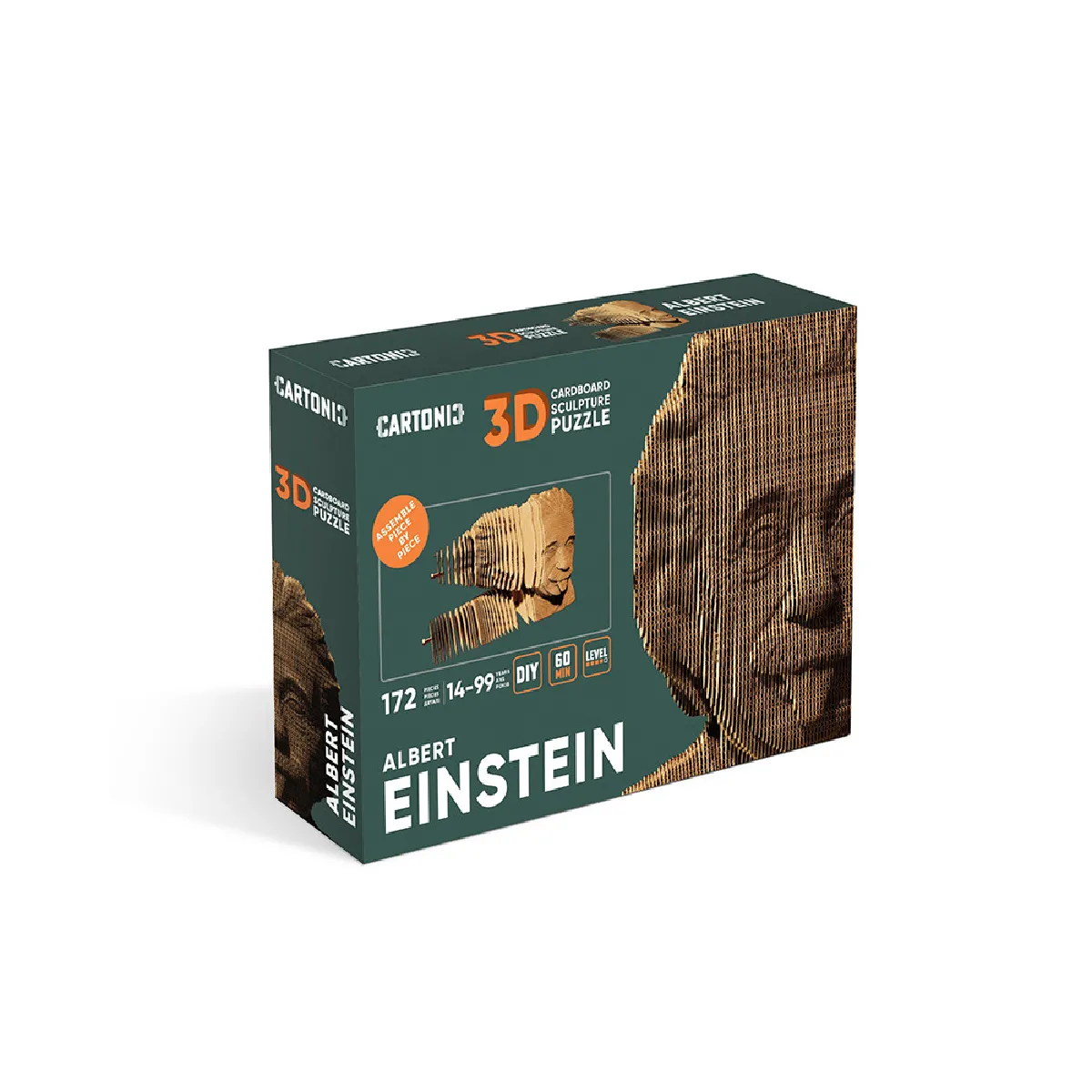 Puzzle 3D Albert Einstein
