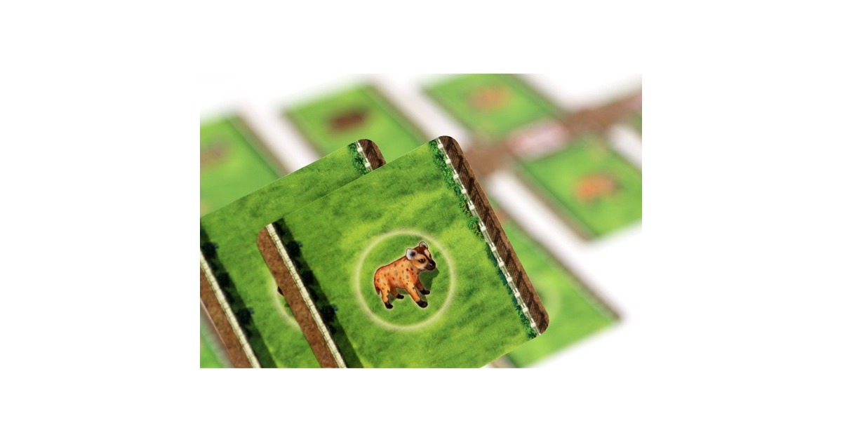 White Goblin GamesZooloretto: Het Duel Bordspel  (Nederlands, 2 spelers, 20 minuten, Vanaf 8 jaar)