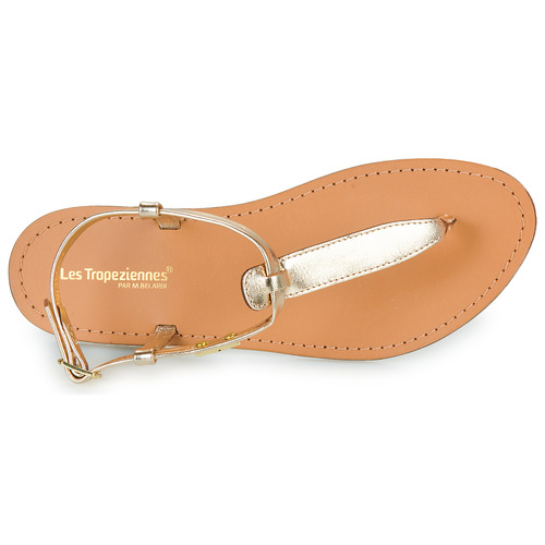 Les Tropéziennes par M Belarbi - HARVIL Dorado