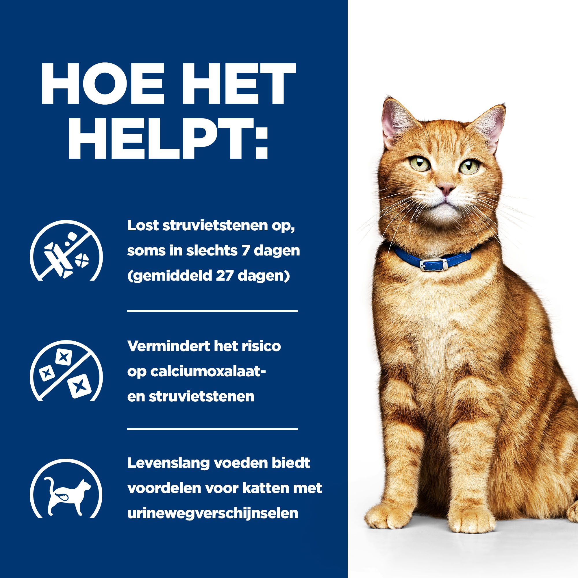 Hill's c/d Multicare Stoofpotje - Prescription Diet - Feline