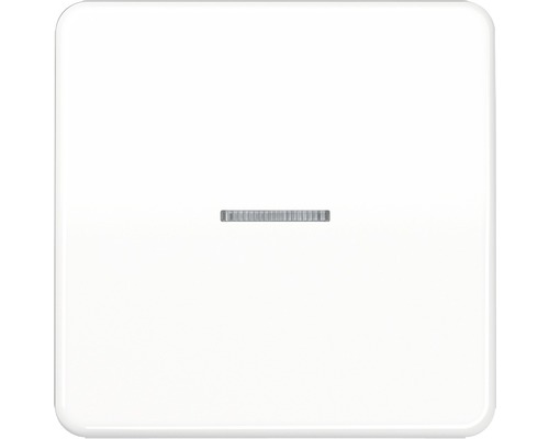 Jung CD590KO5 WW wipschakelaar met lichtgeleider alpinewit CD 500