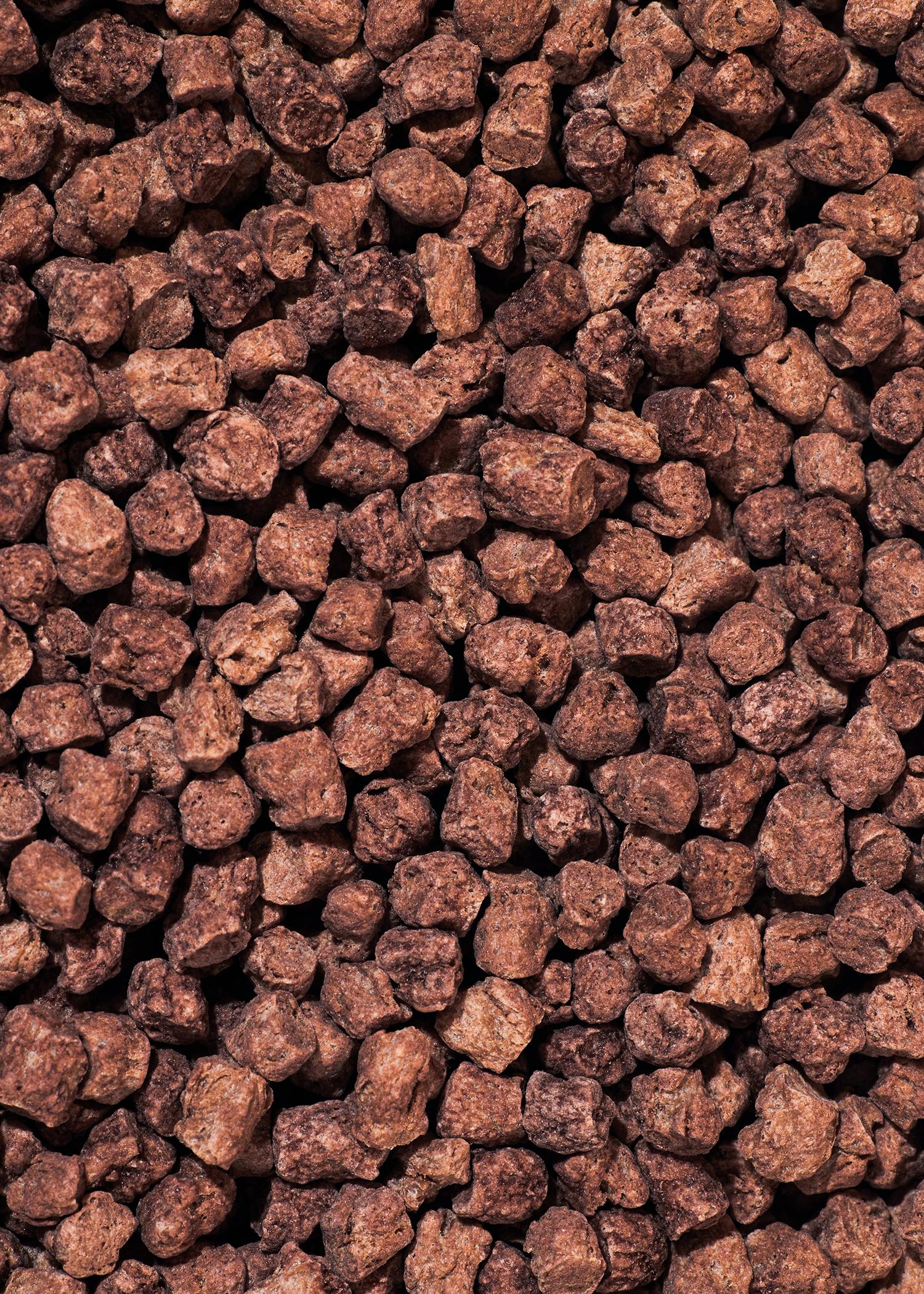 Erbsen Protein Crispies mit Kakao und 48 % Protein 1 kg