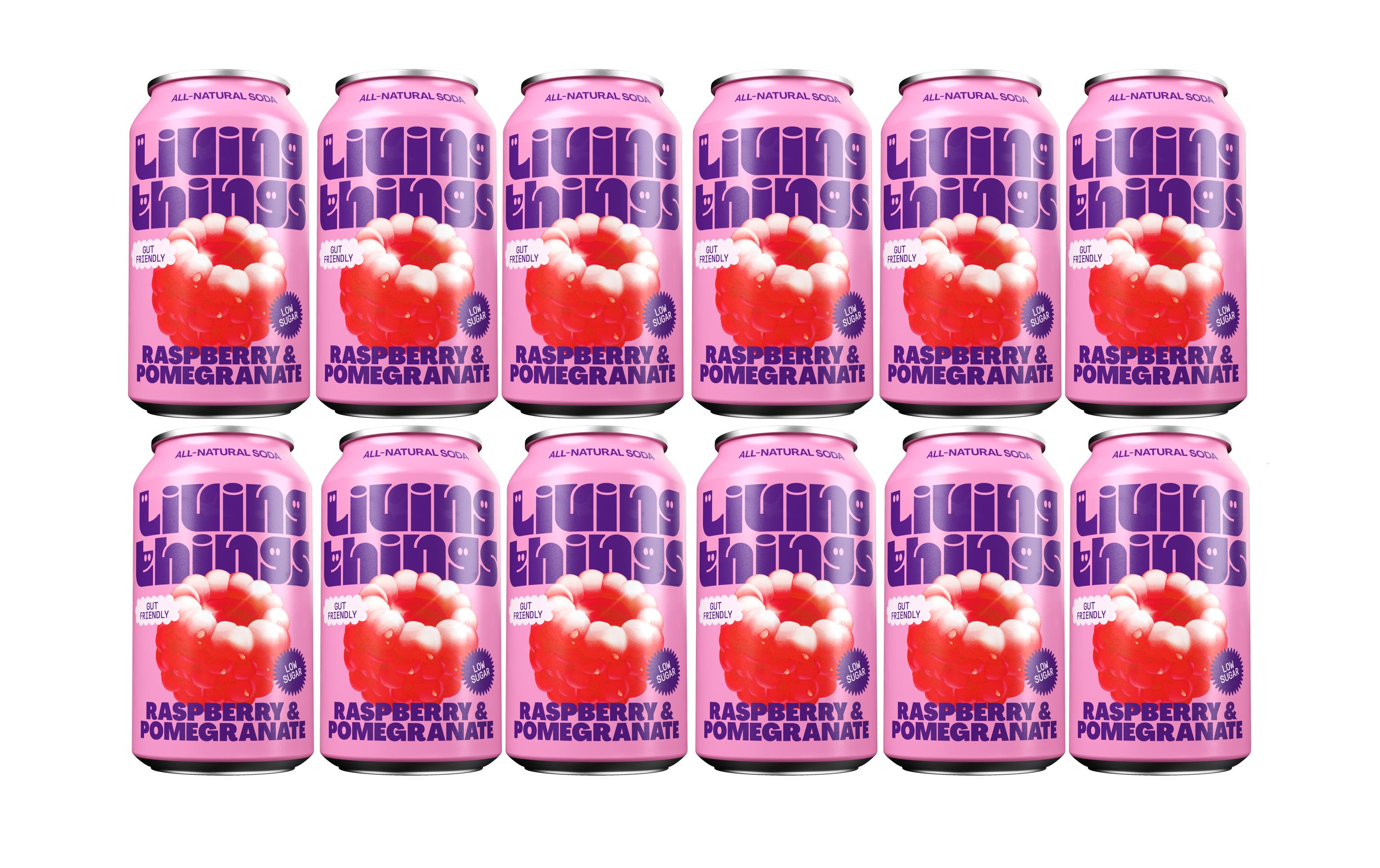 Soft-Drinks Raspberry & Pomegranate 12 x 0.33 lNatürliche, leicht sprudelnde präbiotische Limonade