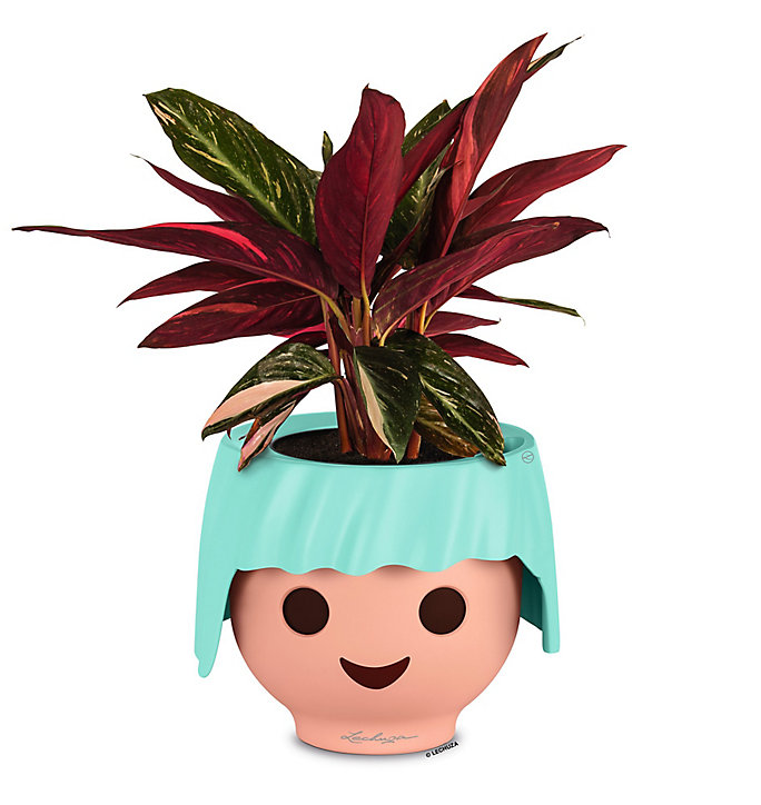 Pot Lechuza Tête Playmobil algue marine Ø21 x h.15,8 cm