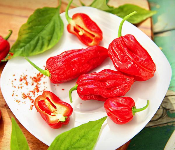 Geisterchili