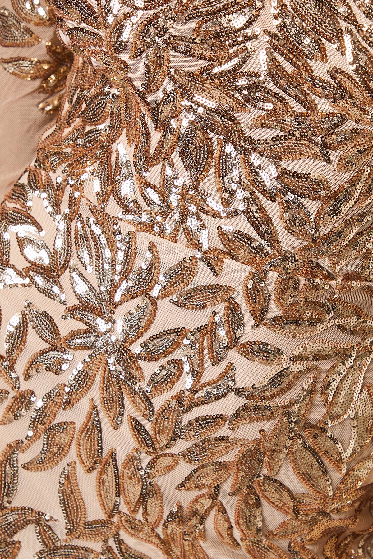 Coast Robe Longue À Sequins Floraux Et Manches Longues