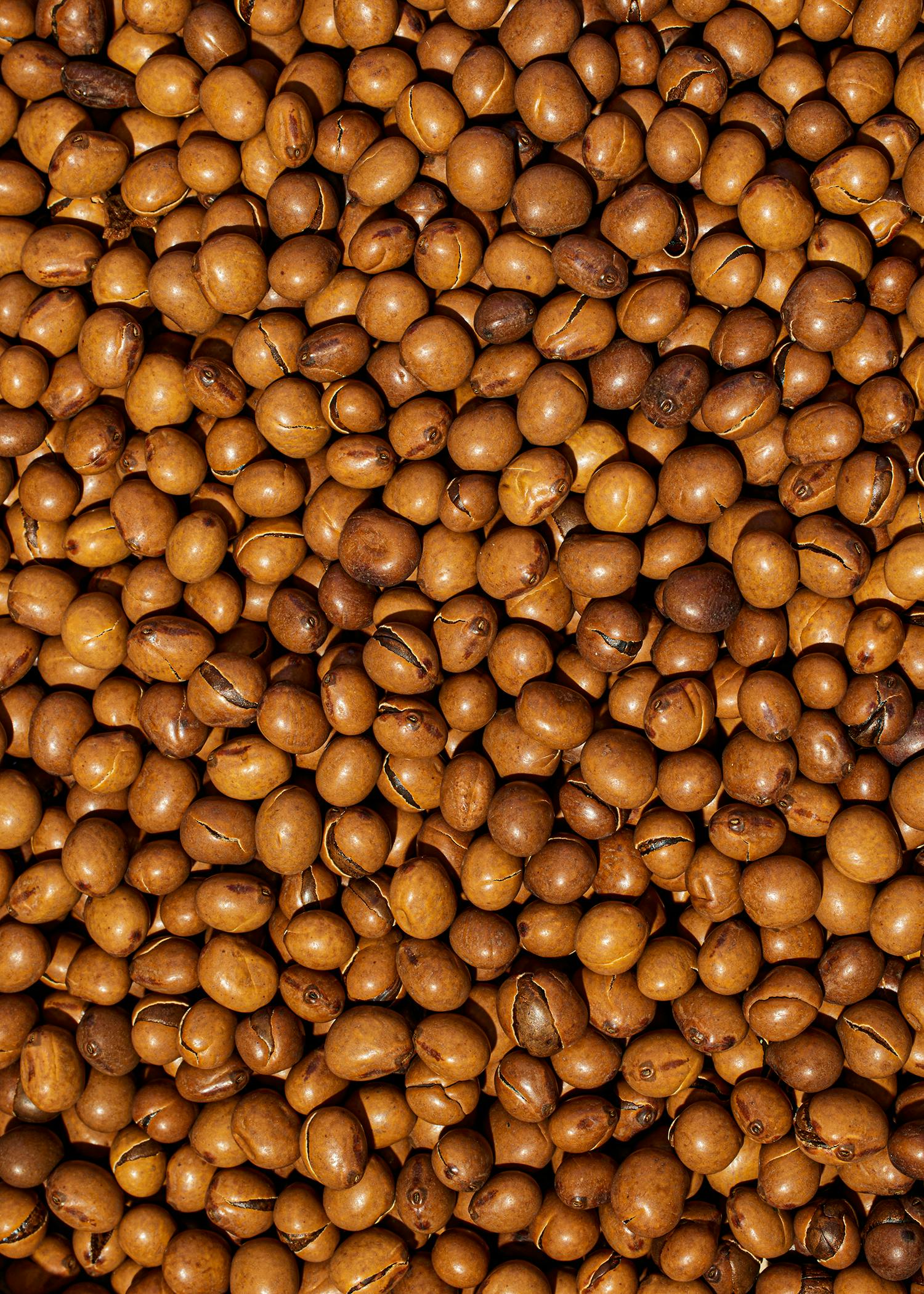 Bio Lupinenkaffee ganze Bohne 1 kg