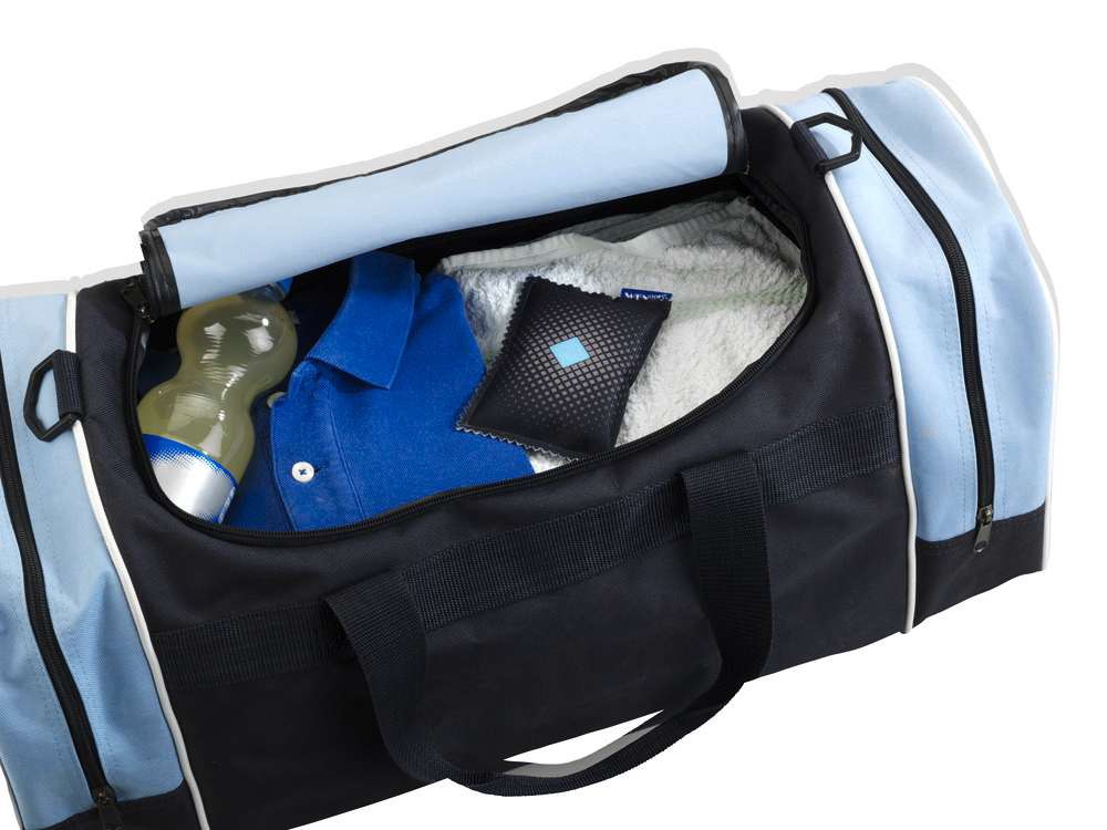 Wenko Auto-Entfeuchter 120 g 2er Set