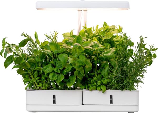 AIRAM Daisy plantelampe, 20W/835, 1450 lm