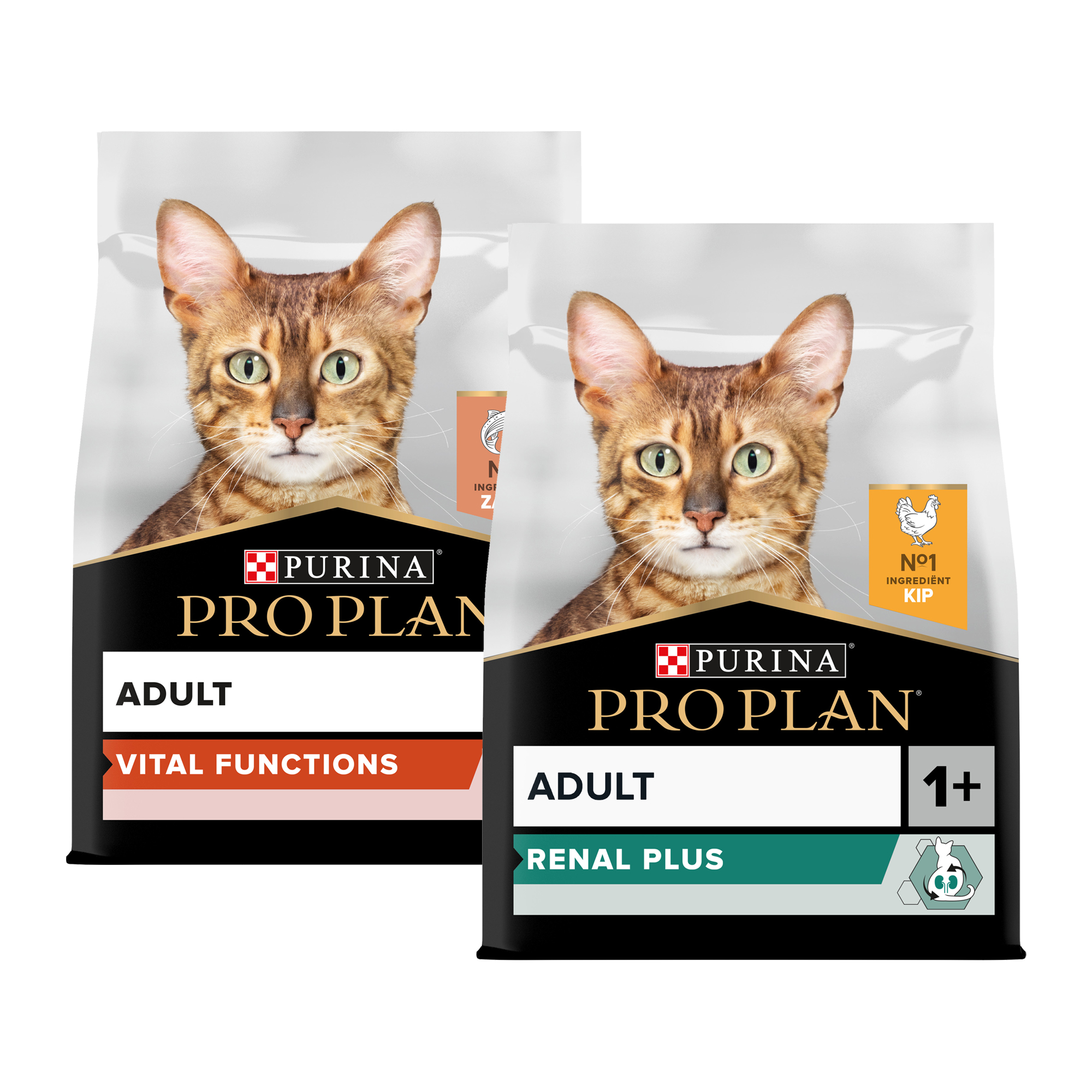 Purina Pro Plan Cat - Adult