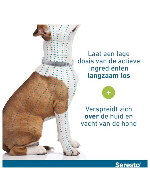 Seresto Teken- En Vlooienband Large - Anti tekenmiddel