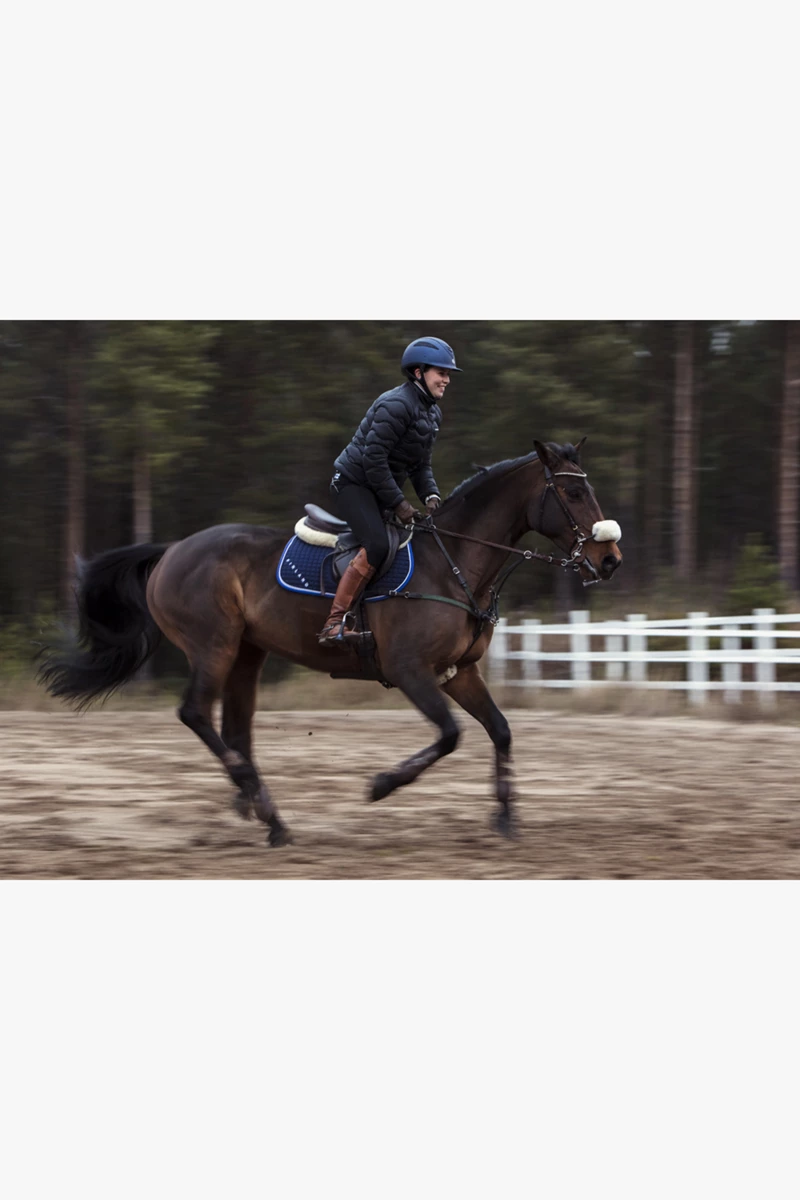 Polar Equine Reitsport Brustgurt