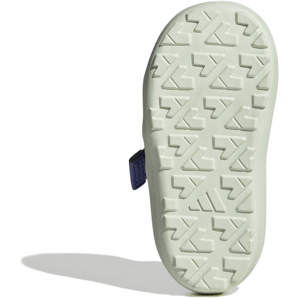 Køb adidas Originals Magic Grey/Semi Cobalt Blue/Semi Cobalt Blue Terrex Captain Toey I Sandal