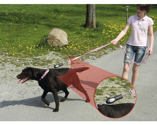 DOG-e-Walks Hondentrainer Basis trainingsapparaat