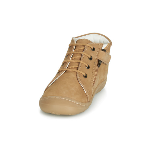 GBB - FREDDO - Cognac