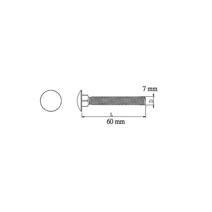 10 boulons tête ronde collet carré 7 x 60 mm