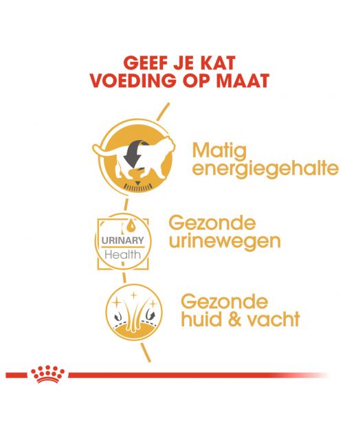 Royal Canin British Shorthair Adult Natvoer - Kattenvoer - 85 g
