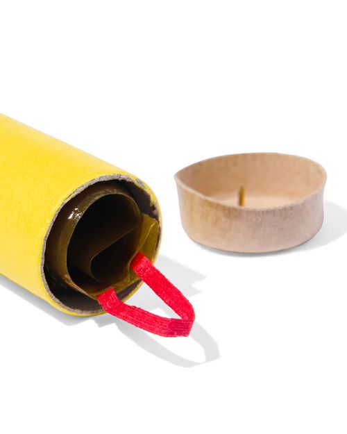 4 pièges à mouches