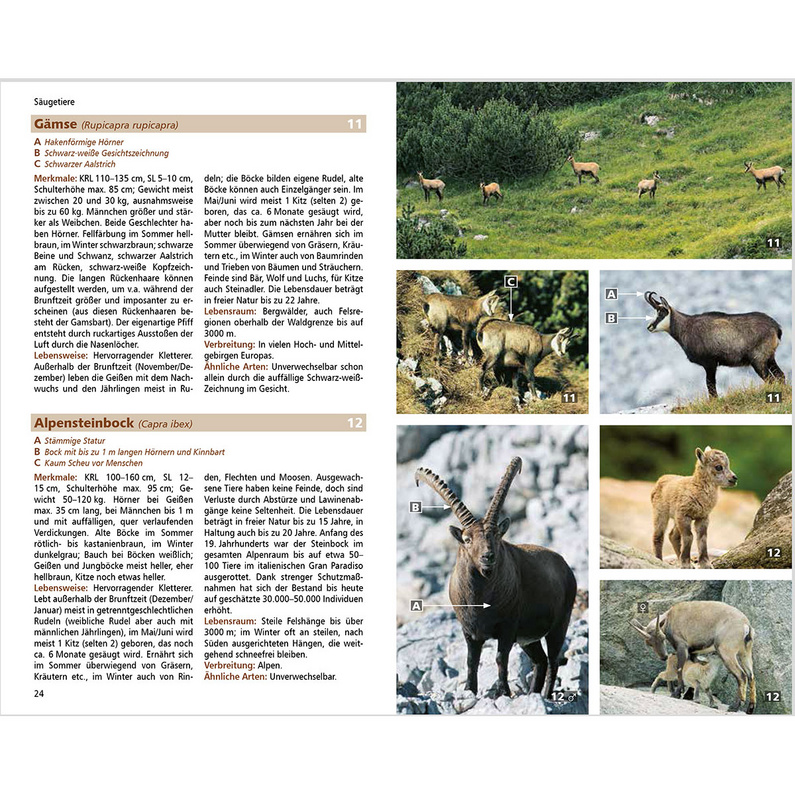 Rother Alpentiere Naturführer