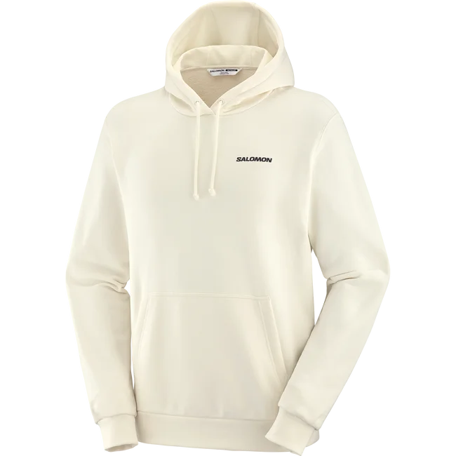 SALOMON WINDOW GRAPHIC  Kapuzensweatshirt Herren