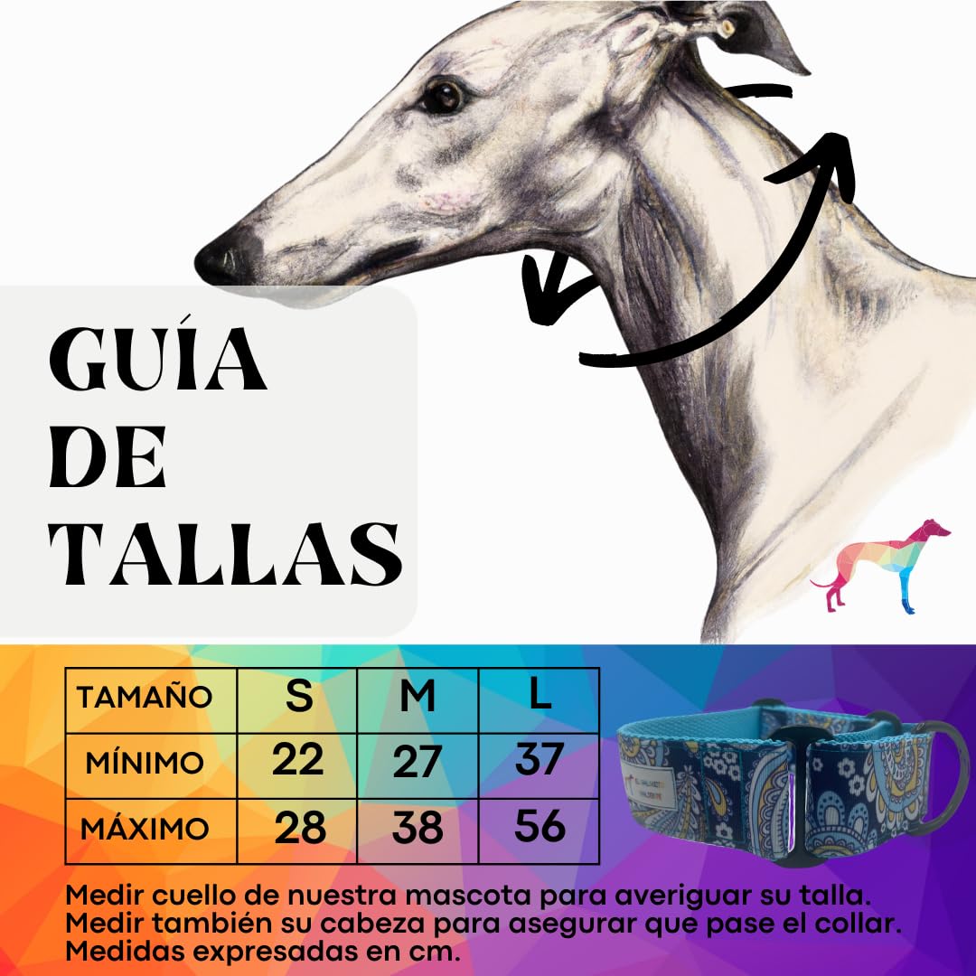 EGV - Coleira Martingale de 4 cm de largura, coleira para galgo feita à mão na Espanha (Caxemira)
