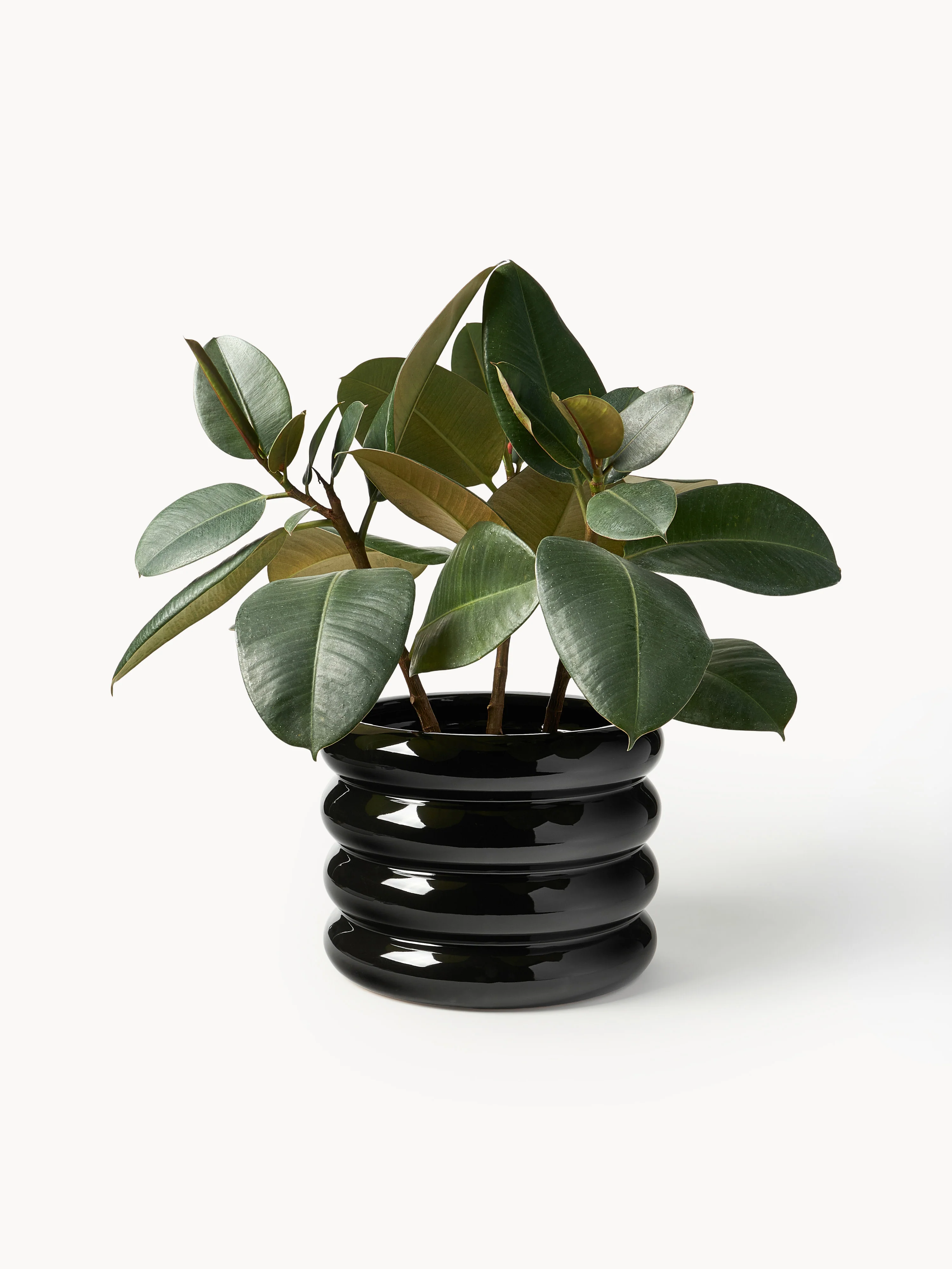 Plantenpot Rudi van keramiek, H 23 cm 3