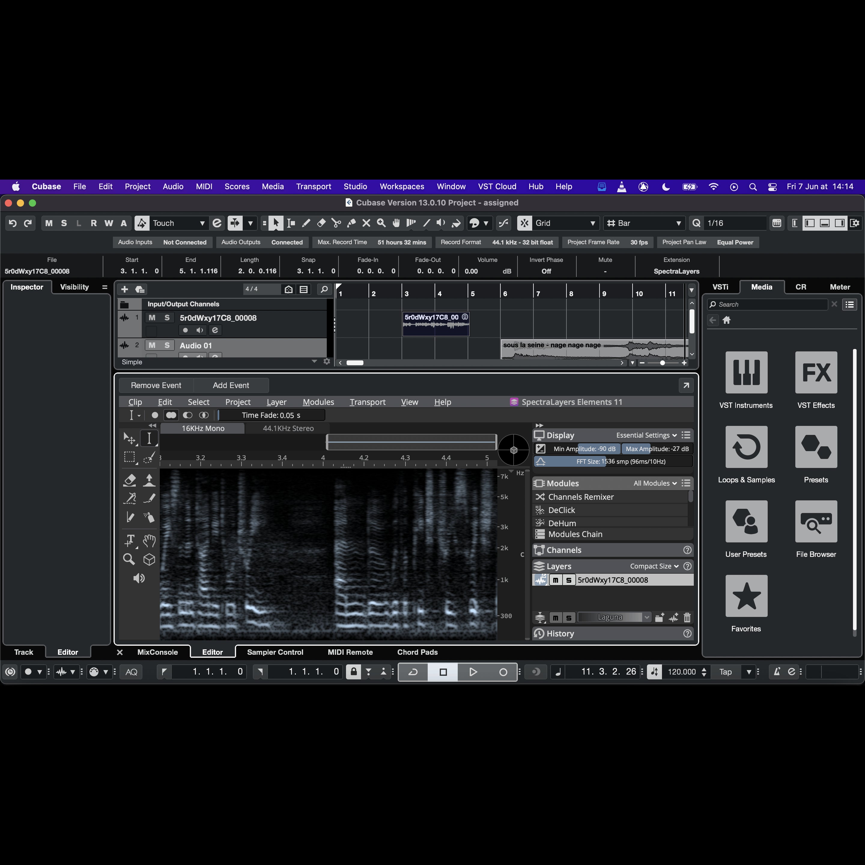 Steinberg SpectraLayers Elements 11 (download)