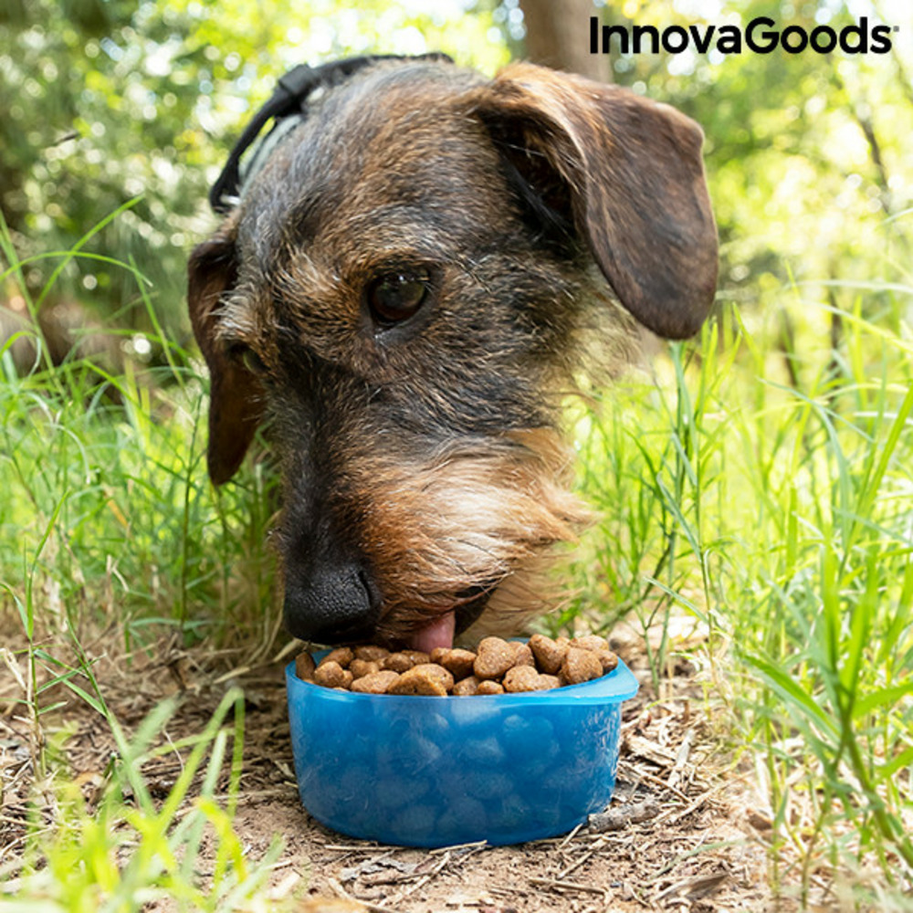 Bouteille avec distributeur d'eau et d'aliments pour animaux 2 en 1 pettap