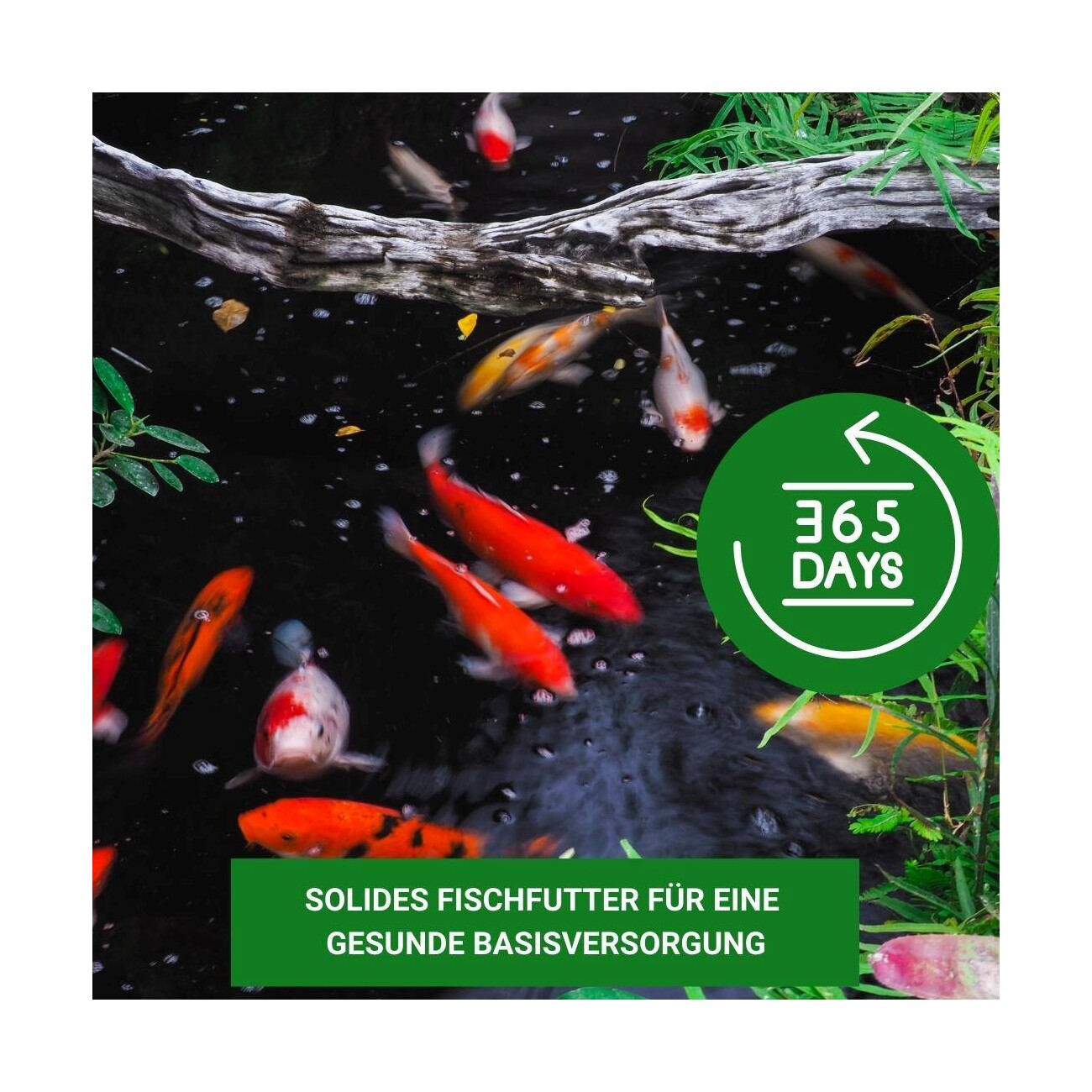 KENKOU Multi-Pond Menü 5 kg
