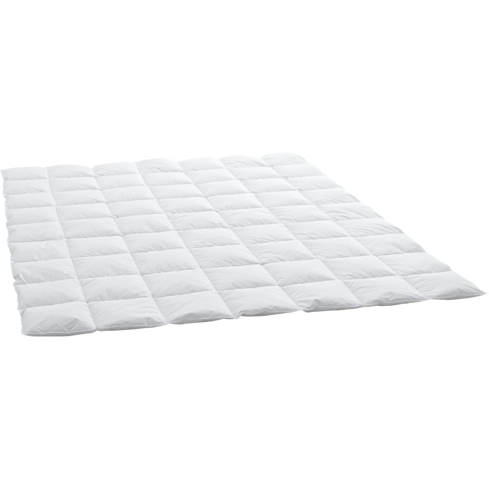 Billerbeck Daunenduvet Caro Light Basic 90 160 x 210 cm