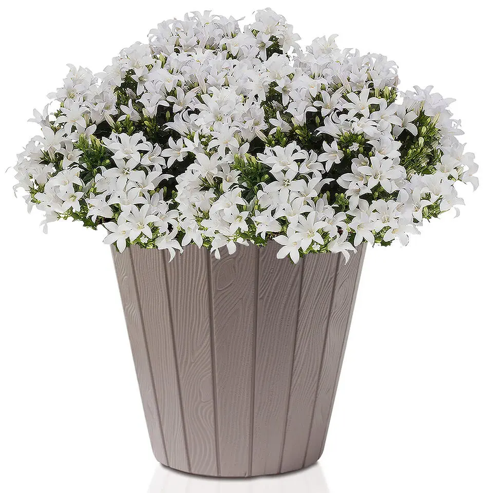 Prosperplast Bloempot - hout look - beige - kunststof - D40 cm