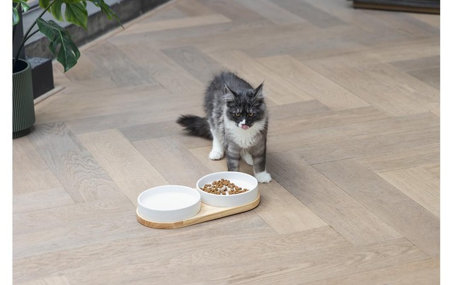 Designed By Lotte Napf-Set »Katze Lojs«