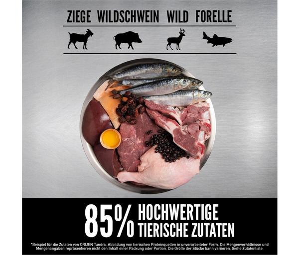 ORIJEN™ Trockenfutter für Hunde Tundra