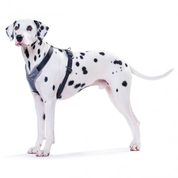 Hunter - Harness Neoprene - Harnais pour chien