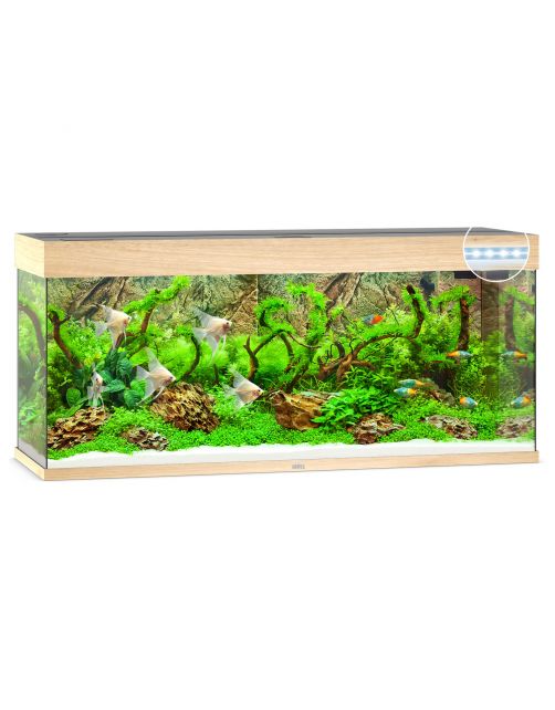 Juwel Aquarium Rio 240 Led 121x41x50 cm - Aquaria