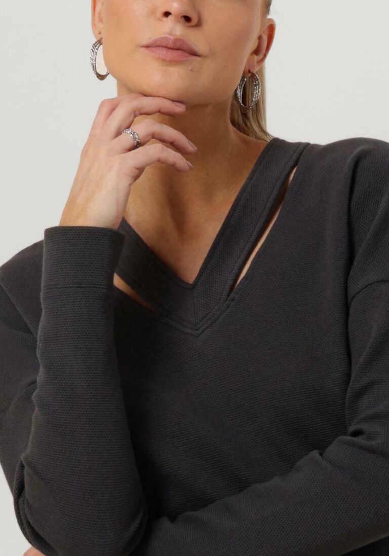 VANILIA grijze vanilia top v-neck cutout texture top