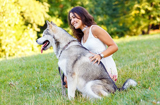 Husky-Knuddeltag in Goch als Geschenkidee
